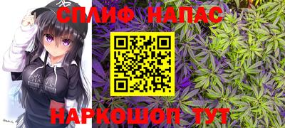 2c-b Камышлов