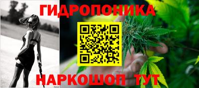 spice Канаш