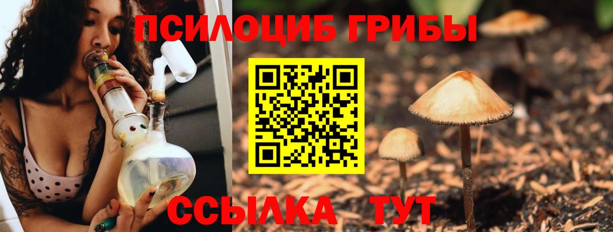 Галлюциногенные грибы Psilocybine cubensis Геленджик
